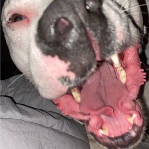 Meet your Posher, Anjuli